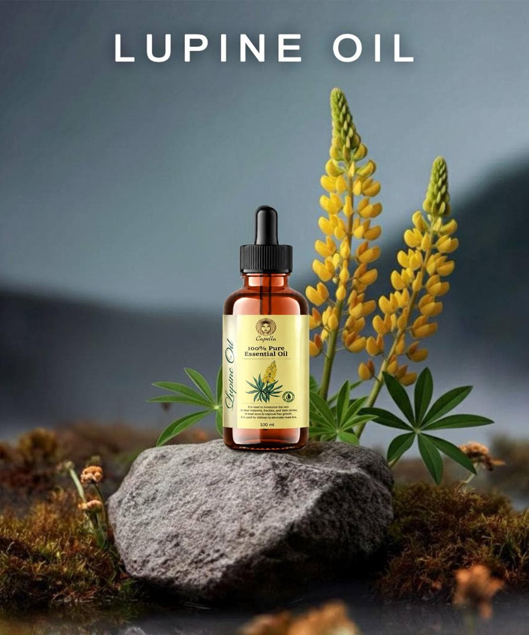 LUPINE OIL